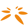 issuer logo